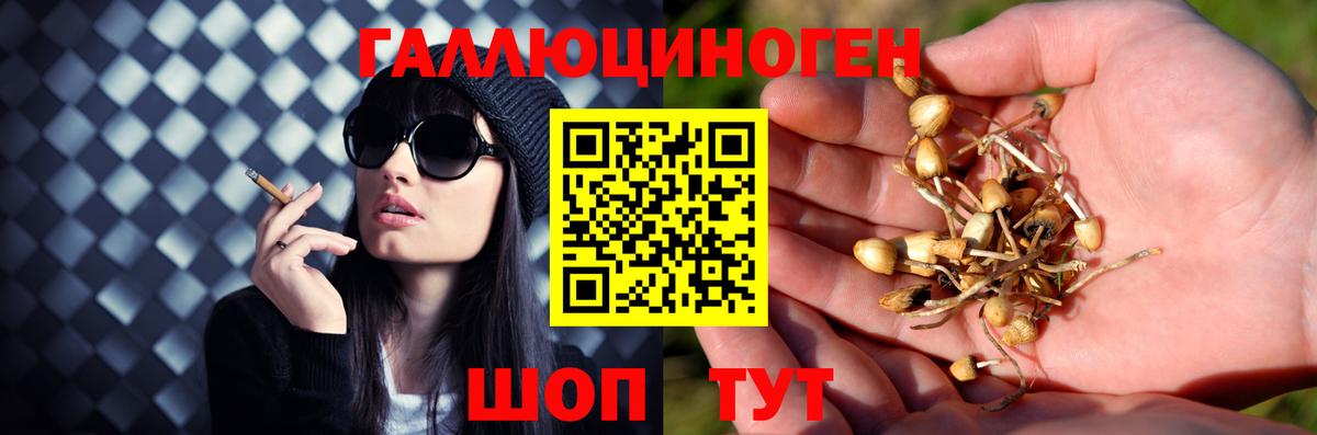 Псилоцибиновые грибы ЛСД Шадринск